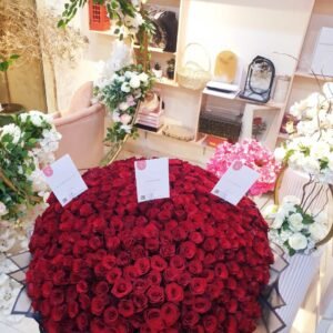 EVENT1.AE Scarlet Glow singel rose 500 rose