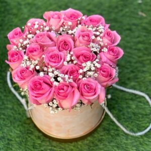 EVENT1.AE Blushing Radiance