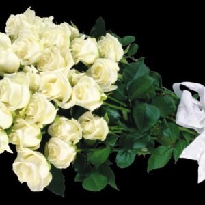 EVENT1.AE Eternal Affection