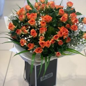 EVENT1.AE Blush Elegance
